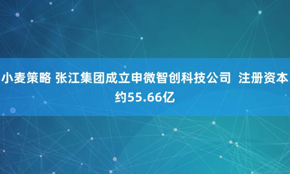 小麦策略 张江集团成立申微智创科技公司  注册资本约55.66亿