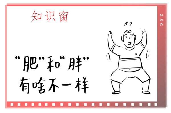 趣操盘 知识窗｜“肥”和“胖”，有啥不一样