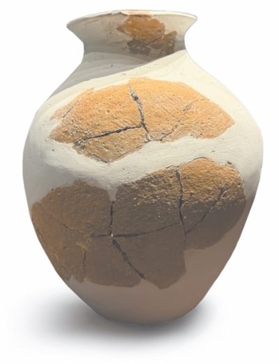 顺阳网 赓续历史文脉·考古故事｜一场延续七十余年的考古接力